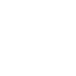 bike icon